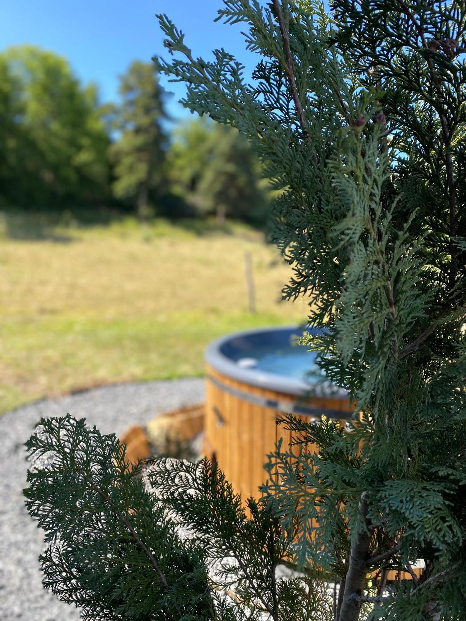 Yourte ,volcans,randonnees,lacs,quietude Glamping